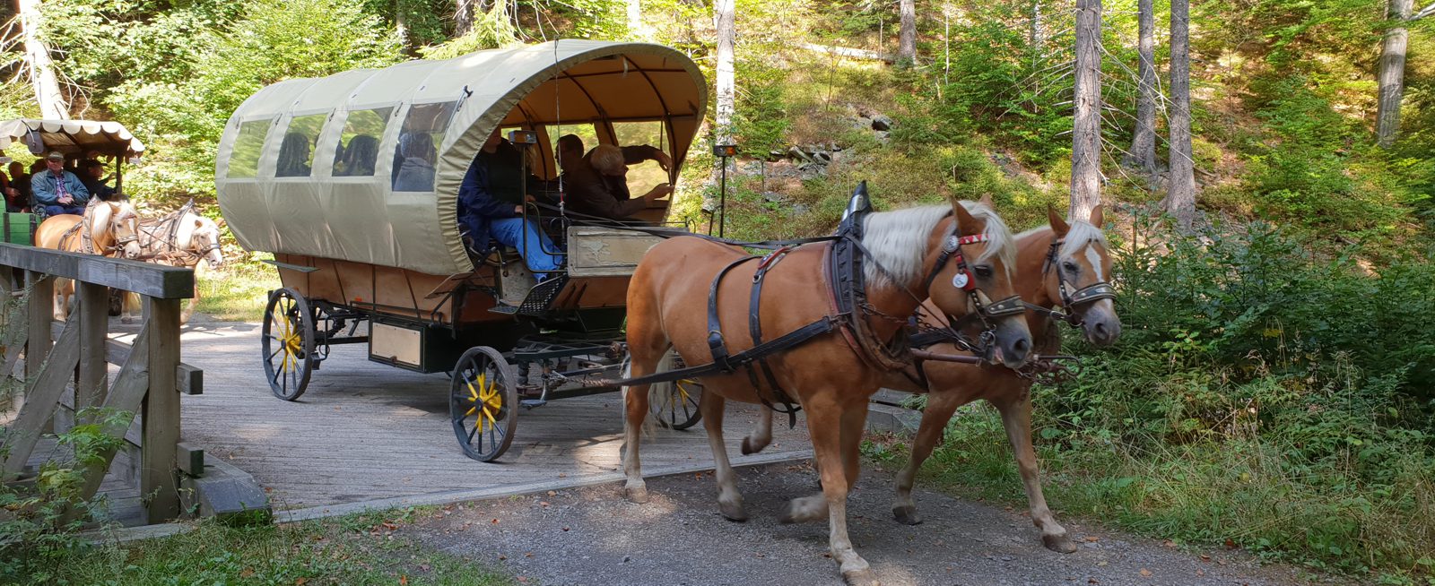 Urlaub im Erzgebirge