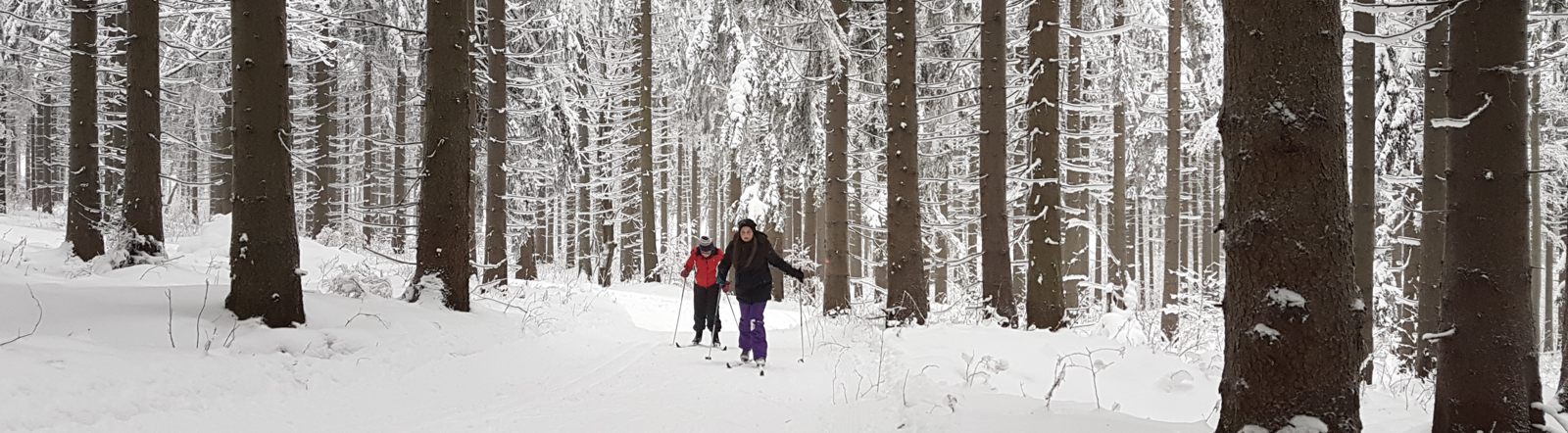 Urlaub im Erzgebirge